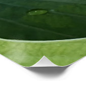 Wit Bloedend Hart Bloemig Perfect Poster (Hoek)