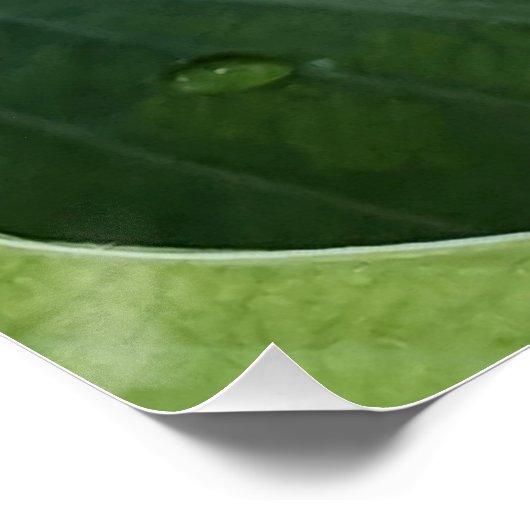 Wit Bloedend Hart Bloemig Perfect Poster (Hoek)