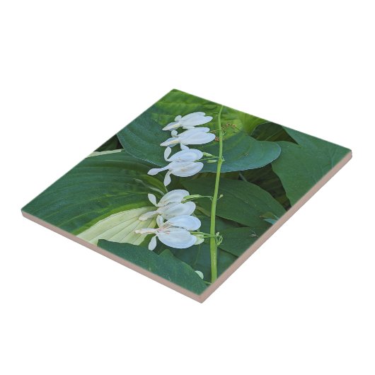 Wit Bloedend Hart Bloemig Tegeltje (Zijkant)