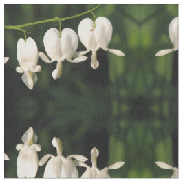 Wit bloeding Hartletsel Stof