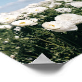 Wit bloemenveld - posterprint poster (Hoek)