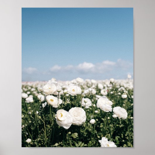 Wit bloemenveld - posterprint poster (Voorkant)