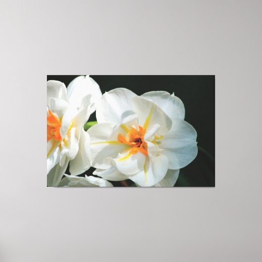 wit bloemig doek canvas afdruk (Voorkant)