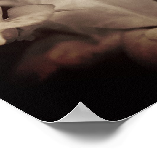  wit bloemig Poster (Hoek)