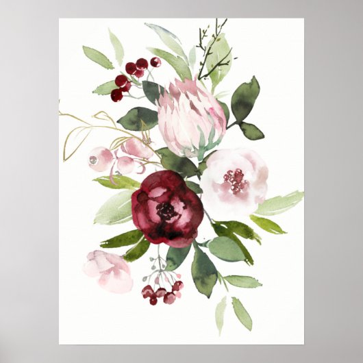  Wit Blush Roze Bourgogne Protea Bloemen Poster (Voorkant)