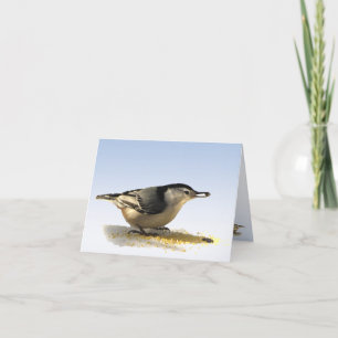 Wit-Breasted Nuthatch dank u Bedankkaart