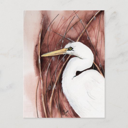 wit briefkaart (Voorkant)