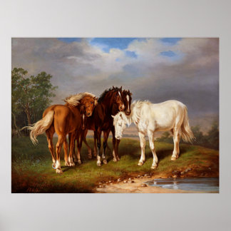 Wit Bruine Caramel Paard Poster