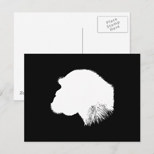 Wit Chimpanseeprofiel Briefkaart (Voorkant / Achterkant)