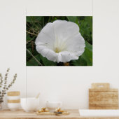  wit convolvulus Bloed Poster (Keuken)