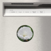 wit convolvulus Bloem Magnet (Insitu (Vaatwasser))