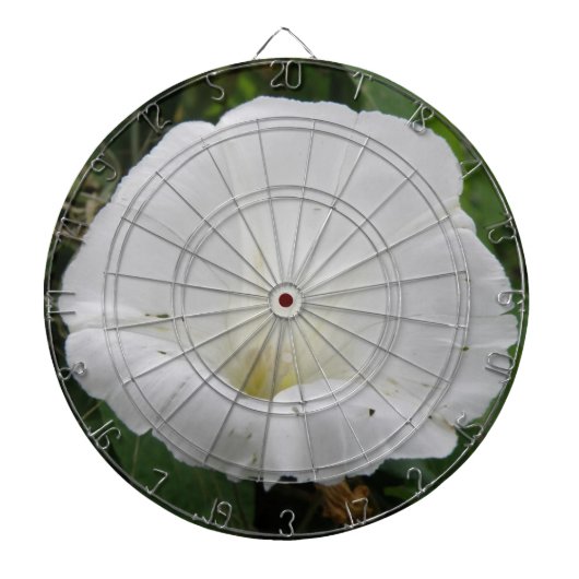  wit convolvulus ventilatorkunstbord dartbord (Voorkant)