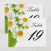wit daisy table number briefkaart (Voorkant / Achterkant)