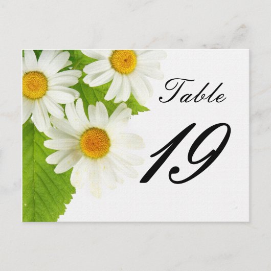 wit daisy table number briefkaart (Voorkant)