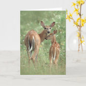 Wit-de steel verwijderde van hertenmoeder en fawn kaart (Gele Bloem)