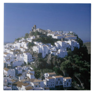 Wit dorp van Casares, Andalusië, Spanje Tegeltje