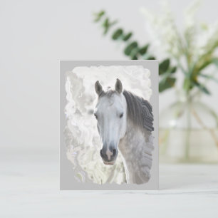 Wit droompaard briefkaart