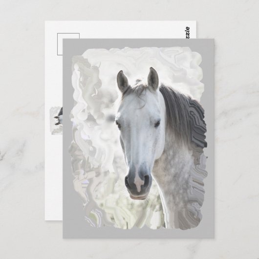 Wit droompaard briefkaart (Voorkant / Achterkant)