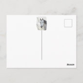 Wit droompaard briefkaart (Achterkant)
