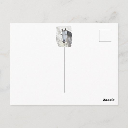 Wit droompaard briefkaart (Achterkant)