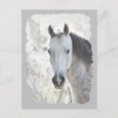 Wit droompaard briefkaart (Voorkant)