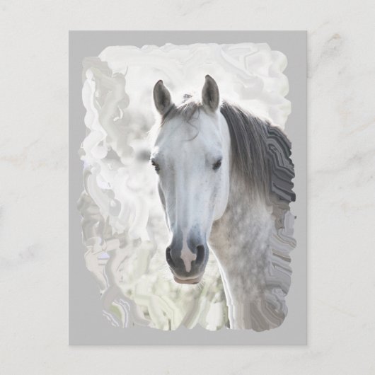 Wit droompaard briefkaart (Voorkant)