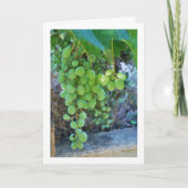 Wit druivenwijnportret kaart (Voorkant)