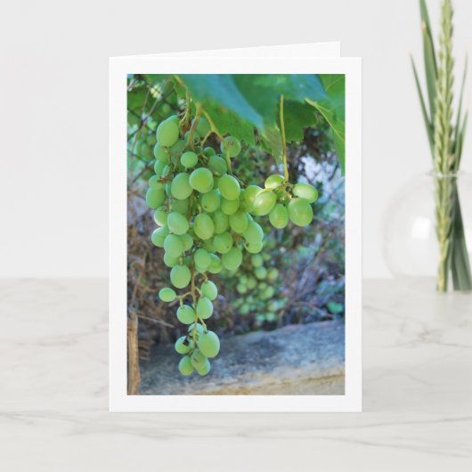 Wit druivenwijnportret kaart (Voorkant)