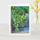 Wit druivenwijnportret kaart (Gele Bloem)