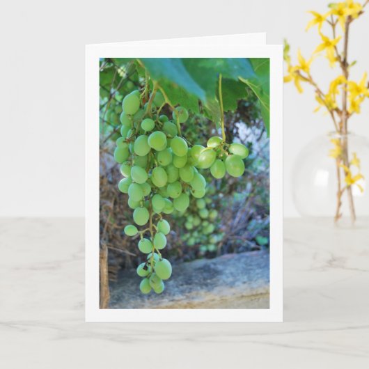 Wit druivenwijnportret kaart (Gele Bloem)