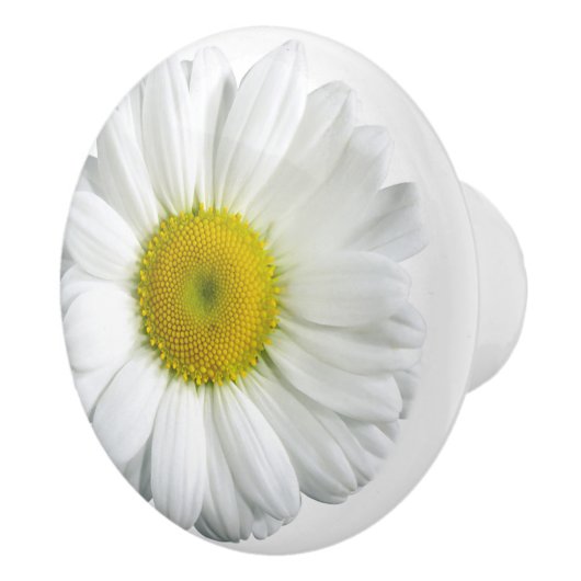 Wit en geel Daisy Keramische Knop (Rechts)