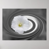 wit en grijs poster (Voorkant)