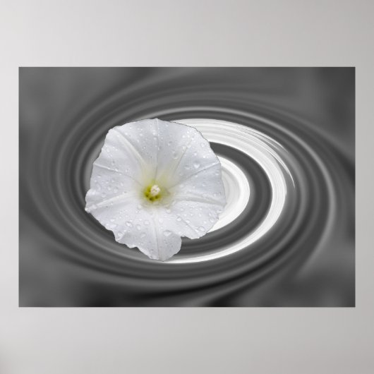 wit en grijs poster (Voorkant)