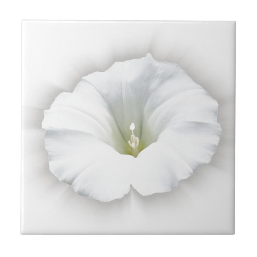 wit en grijze tinten tegeltje (Voorkant)