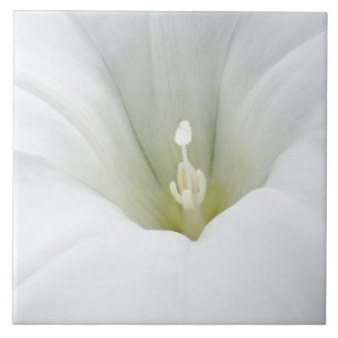 wit en grijze tinten tegeltje