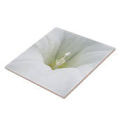 wit en grijze tinten tegeltje (Zijkant)