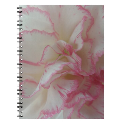 Wit en Roze Anjer Notitieboek (Voorkant)