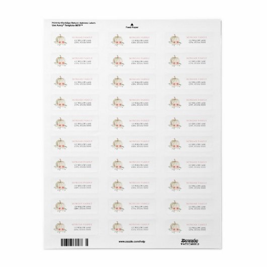 Wit en Roze Pompoenretour Label (Full Sheet)
