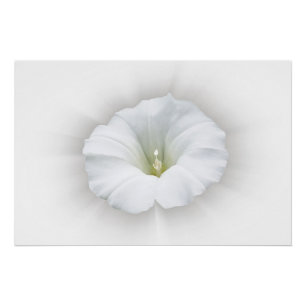 wit en tinten grijs perfect poster