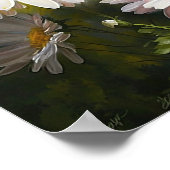 Wit Engels Daisy Flower Art Print Poster (Hoek)