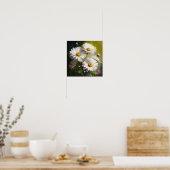 Wit Engels Daisy Flower Art Print Poster (Keuken)