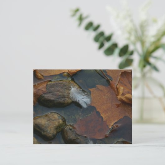 Wit Feather briefkaart (Staand voorkant)