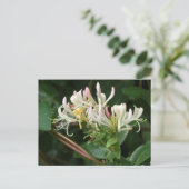 Wit Geel Honeysuckle DIY Briefkaart (Staand voorkant)