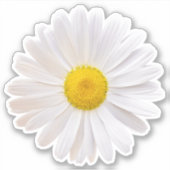 Wit geel Shasta Daisy Flower Kiss-Cut Sticker (Voorkant)