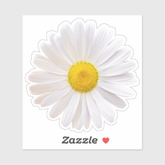 Wit geel Shasta Daisy Flower Kiss-Cut Sticker (Vel)