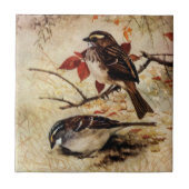 Wit-gekleurde Sparrows en de Bladeren van de Dalin Tegeltje (Voorkant)