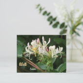 Wit Gele Honeysuckle Get Well Soon Briefkaart (Staand voorkant)