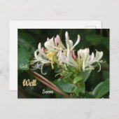 Wit Gele Honeysuckle Get Well Soon Briefkaart (Voorkant / Achterkant)