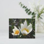 Wit Gele Tulpen DIY Briefkaart (Staand voorkant)