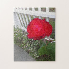 Wit geplukt hek en een prachtige rode roos legpuzzel